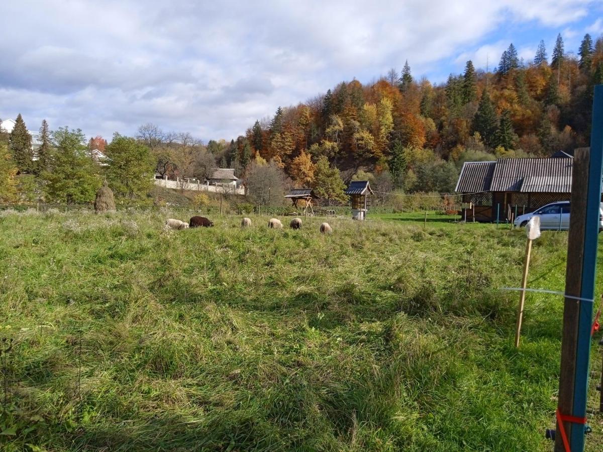 федорчуків гірська хатина 1 Apartment